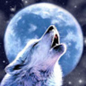 Meet your Posher, Bryan